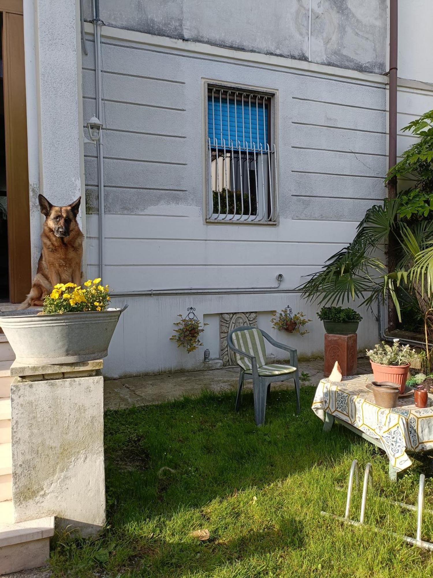 Chez Mavipagi B&B Верона Экстерьер фото